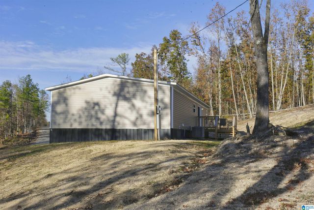 10 CHARITY CIRCLE, Piedmont, AL 36272