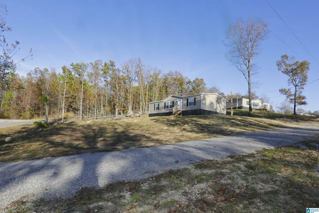 10 CHARITY CIRCLE, Piedmont, AL 36272