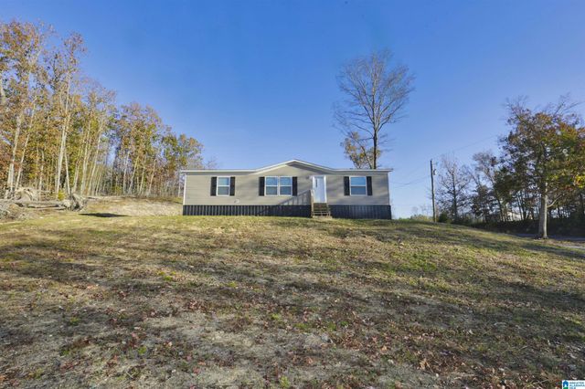 10 CHARITY CIRCLE, Piedmont, AL 36272