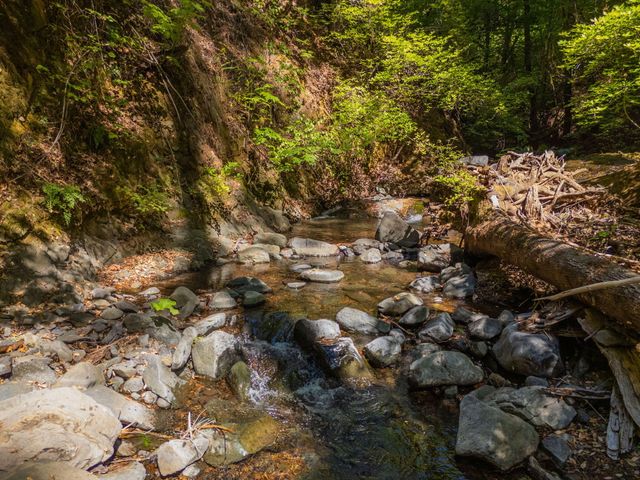 20922 Red Bridge Road, Round Mountain, CA 96084