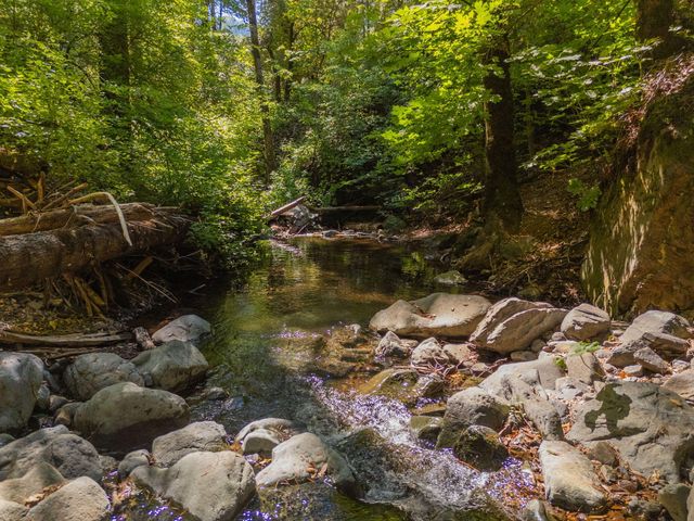 20922 Red Bridge Road, Round Mountain, CA 96084