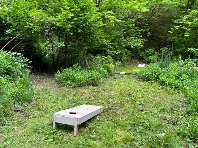 20922 Red Bridge Road, Round Mountain, CA 96084