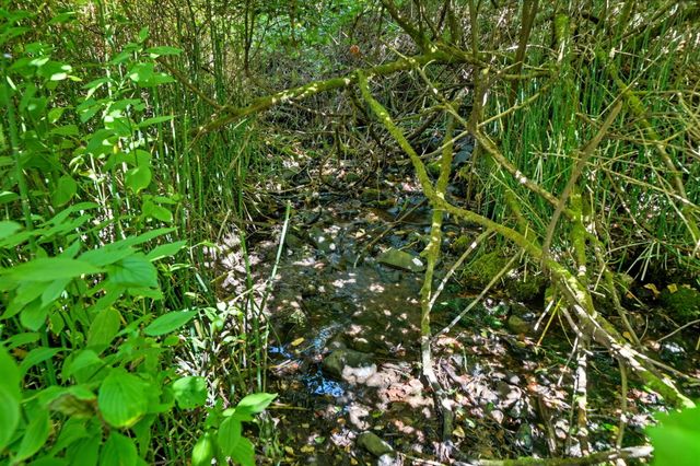 20922 Red Bridge Road, Round Mountain, CA 96084