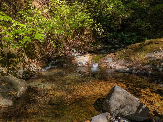 20922 Red Bridge Road, Round Mountain, CA 96084