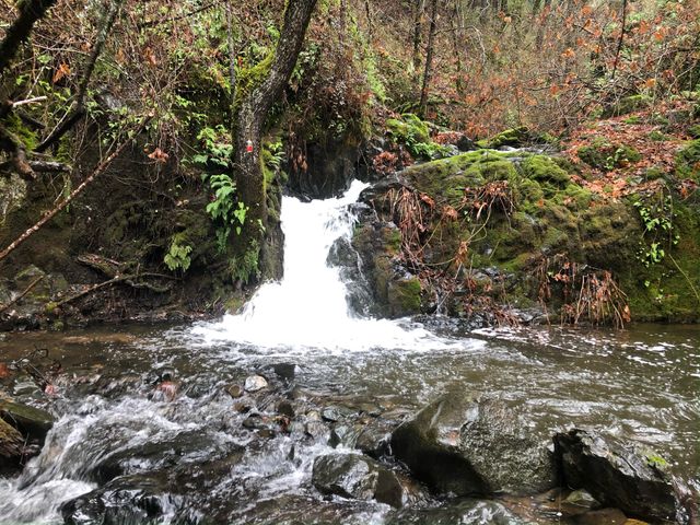 20922 Red Bridge Road, Round Mountain, CA 96084