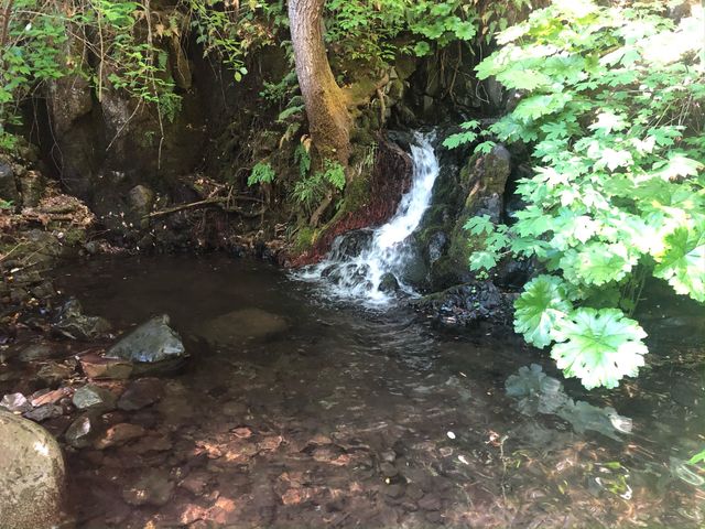 20922 Red Bridge Road, Round Mountain, CA 96084