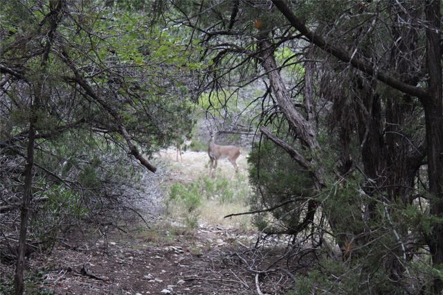 20701 Northland DR, Lago Vista, TX 78645