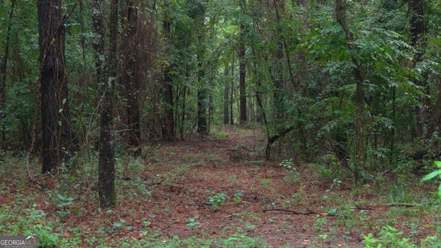 0 Grovania Road, Elko, GA 31025