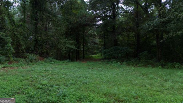 0 Grovania Road, Elko, GA 31025