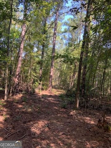 0 Grovania Road, Elko, GA 31025