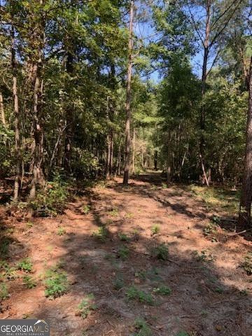 0 Grovania Road, Elko, GA 31025