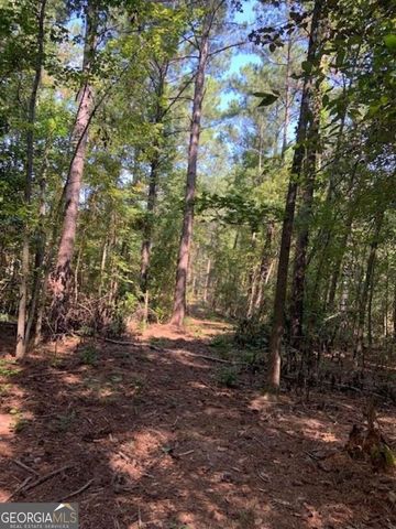 0 Grovania Road, Elko, GA 31025