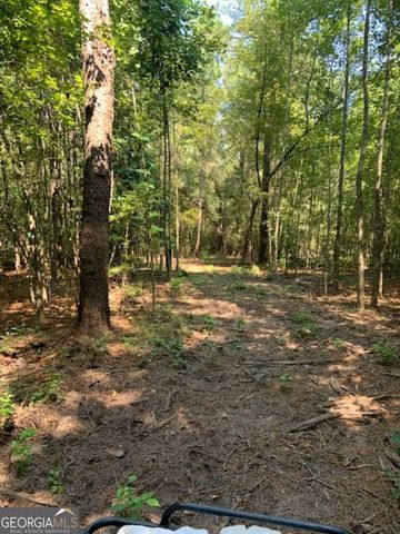 0 Grovania Road, Elko, GA 31025