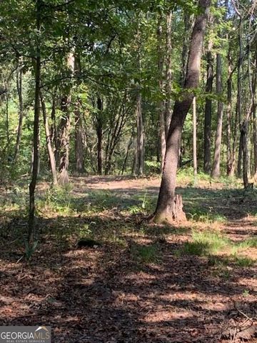 0 Grovania Road, Elko, GA 31025