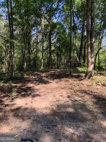 0 Grovania Road, Elko, GA 31025