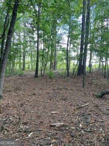 0 Grovania Road, Elko, GA 31025