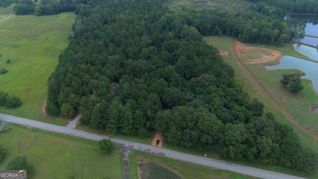 0 Grovania Road, Elko, GA 31025