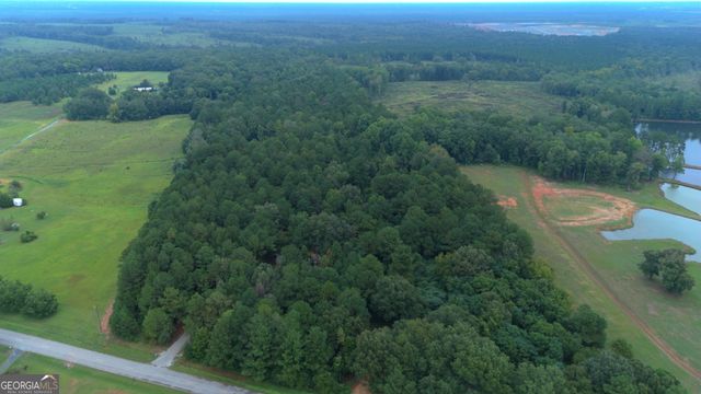 0 Grovania Road, Elko, GA 31025