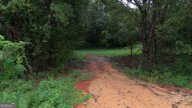 0 Grovania Road, Elko, GA 31025