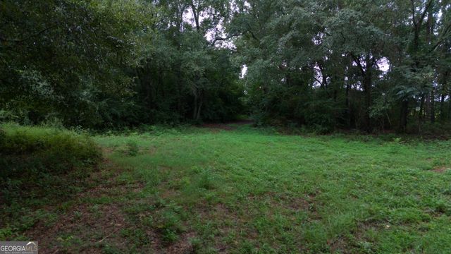 0 Grovania Road, Elko, GA 31025