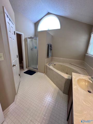 200 Millstone Lane, Madison, AL 35758