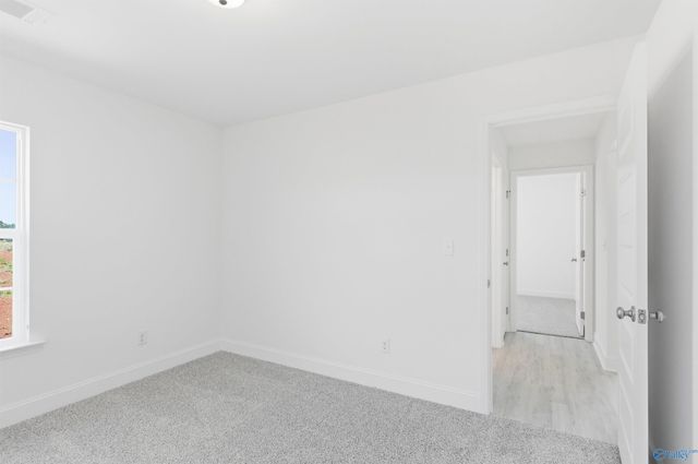 18047 Bellabon Drive, Athens, AL 35611