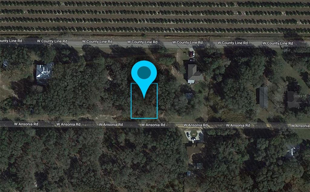 3180 W ANSONIA ROAD, Avon Park, FL 33825