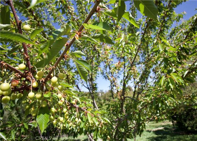 35159 El Dorado Street, Lake Elsinore, CA 92530