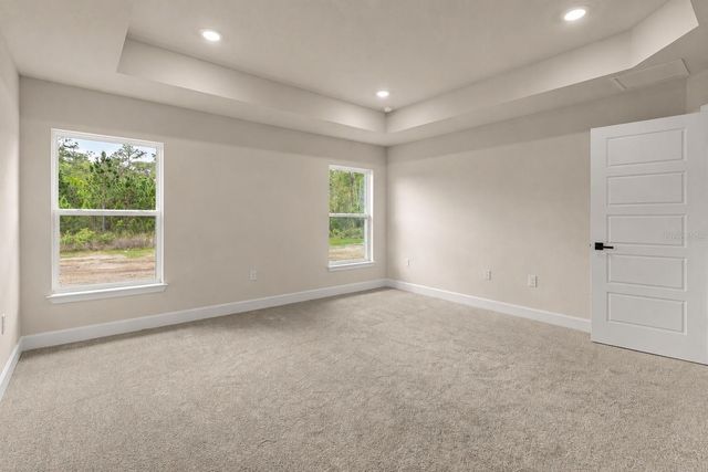 1667 ANN ROSE WAY, Leesburg, FL 34748