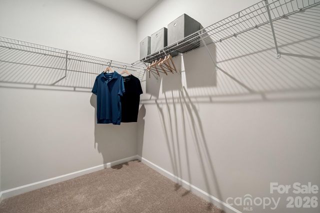 4208 Vista Pine Drive, Charlotte, NC 28215