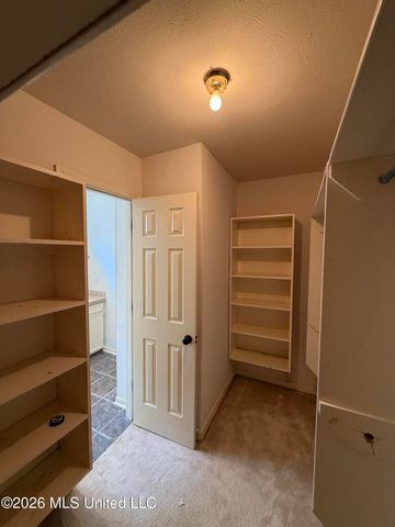 414 Friday Harbour, Ridgeland, MS 39157