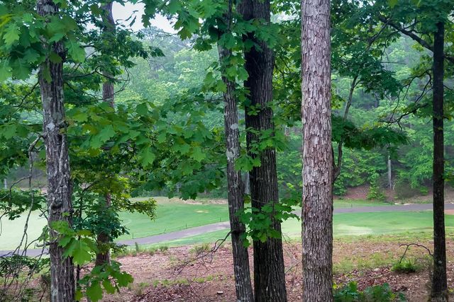 36 Baltanas Way, Hot Springs Village, AR 71909