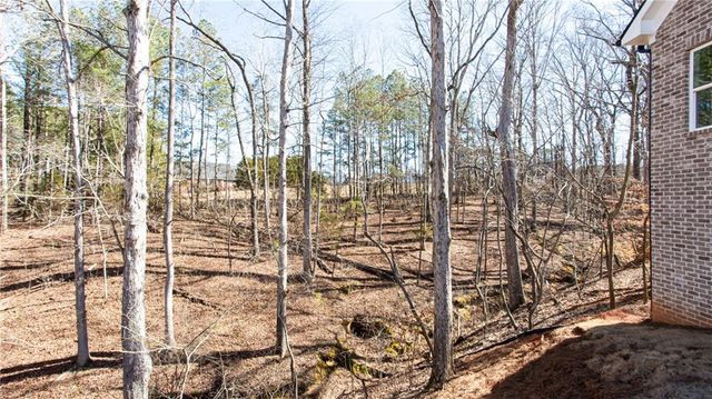 4120 Alayna Lee Circle, Mcdonough, GA 30252