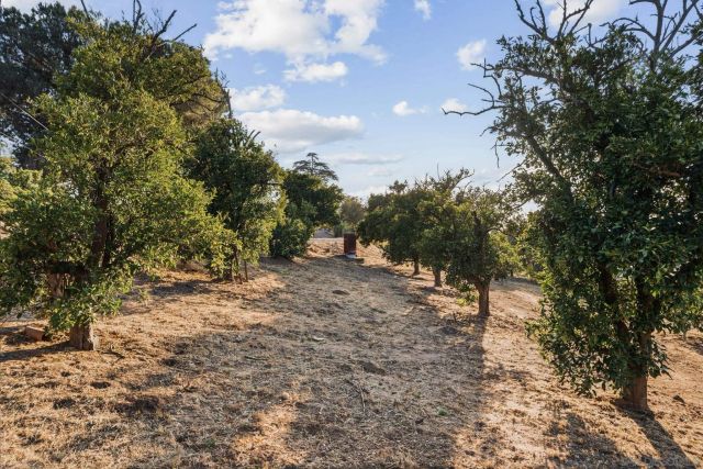 30562 Rolling Hills Dr., Valley Center, CA 92082
