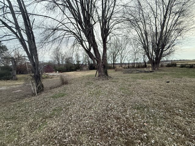 4425 Trough Springs Rd, Adams, TN 37010