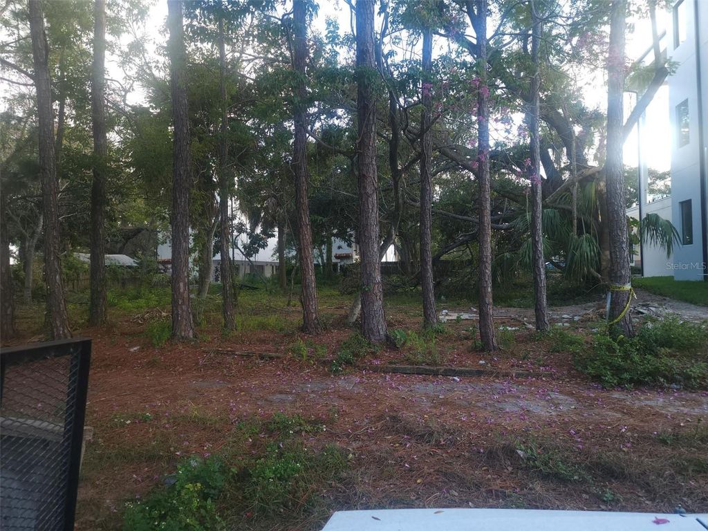 Image 6 of property listing at 2318 W NORTH B STREET, Tampa, FL 33609