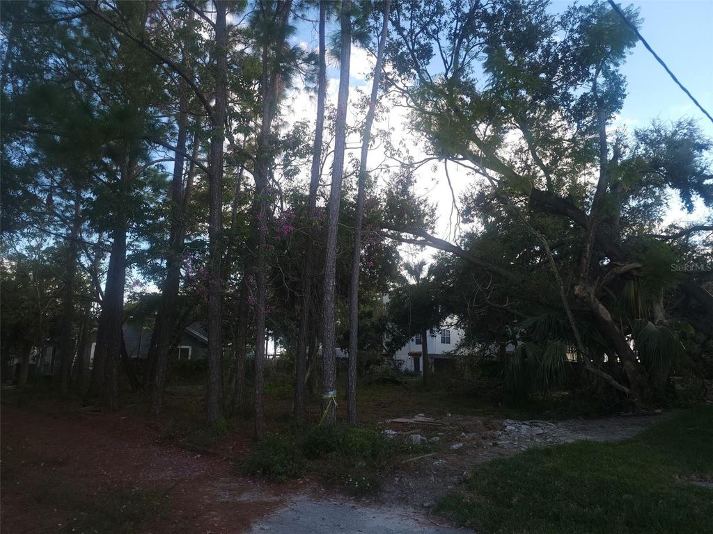 Image 7 of property listing at 2318 W NORTH B STREET, Tampa, FL 33609