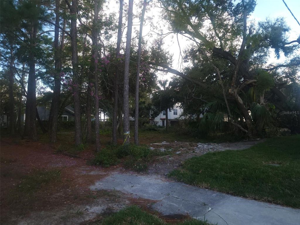 Image 8 of property listing at 2318 W NORTH B STREET, Tampa, FL 33609