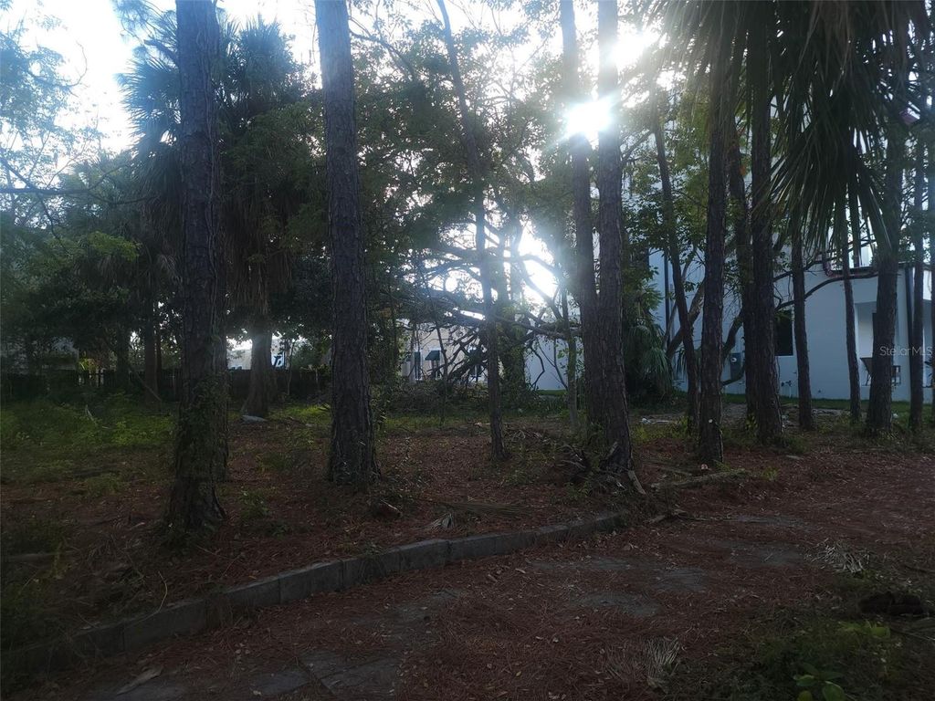 Image 9 of property listing at 2318 W NORTH B STREET, Tampa, FL 33609