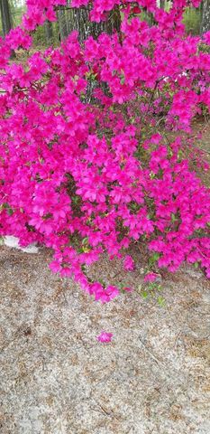 84 Weaver Lane, Buena Vista, GA 31803