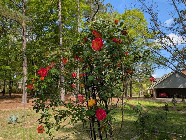 84 Weaver Lane, Buena Vista, GA 31803