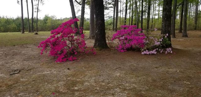 84 Weaver Lane, Buena Vista, GA 31803