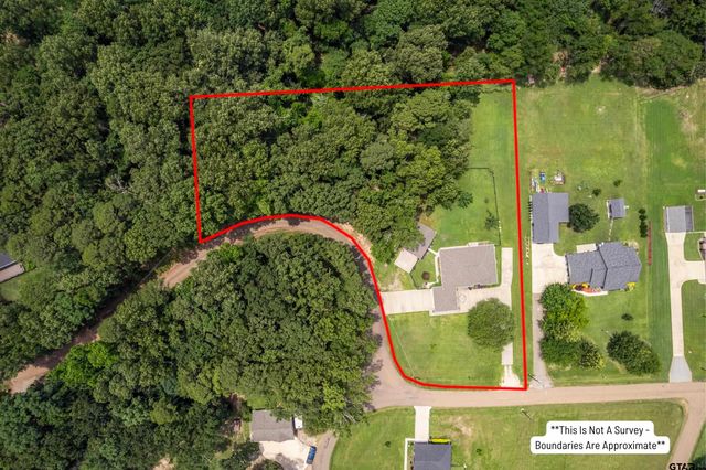 20 County Road 2938 South, Pittsburg, TX 75686