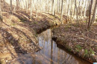 LOT # 9 HARBOUR POINT DRIVE, Delta, AL 36258