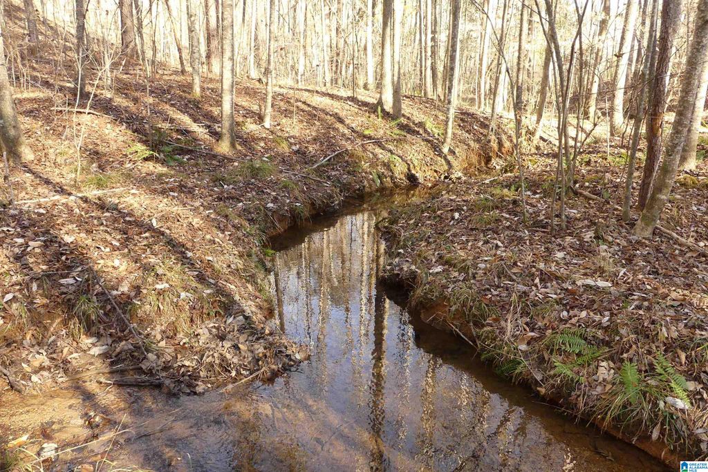 LOT # 9 HARBOUR POINT DRIVE, Delta, AL 36258