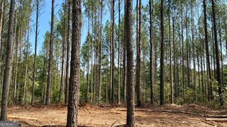 01 Cherokee Road, Comer, GA 30629