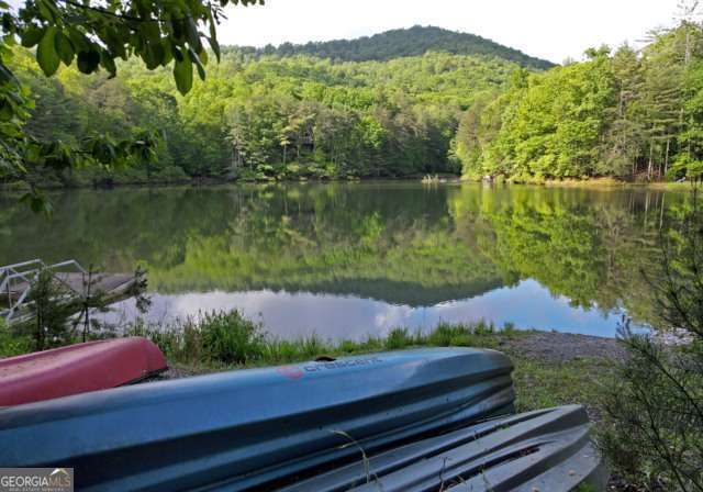 705 Laurel Ridge Drive, Ellijay, GA 30536