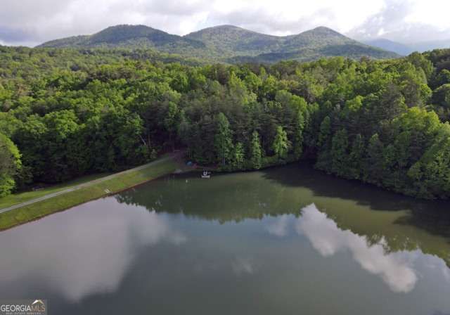 705 Laurel Ridge Drive, Ellijay, GA 30536