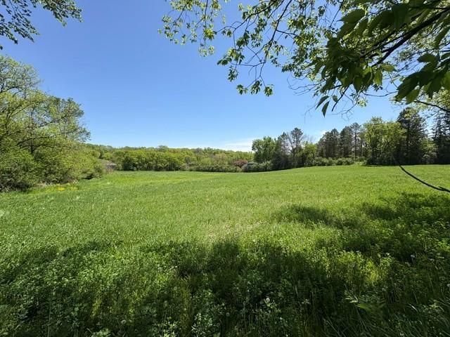TBD Highway 55, Rockford Twp, MN 55313