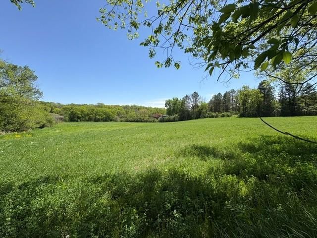 TBD Highway 55, Rockford Twp, MN 55313
